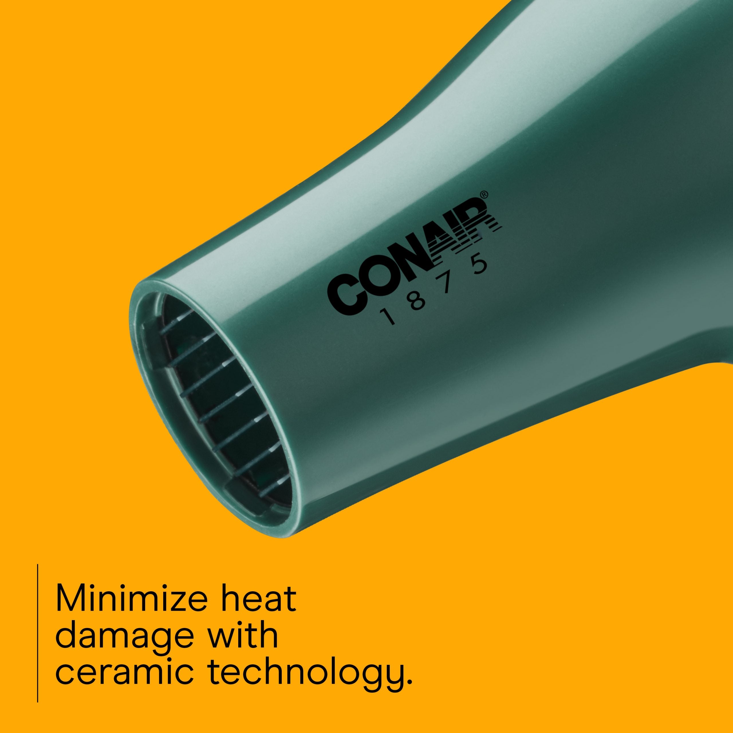 Style & Shine&trade; Dryer